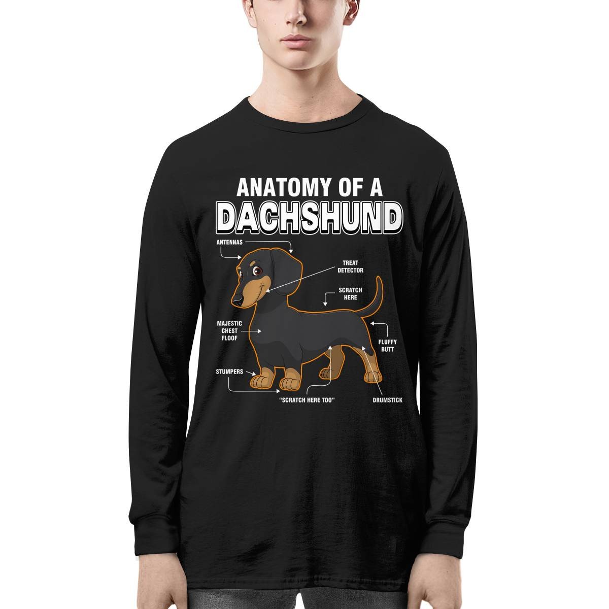 Dachshund Anatomy Explained