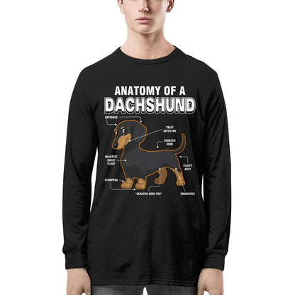 Dachshund Anatomy Explained