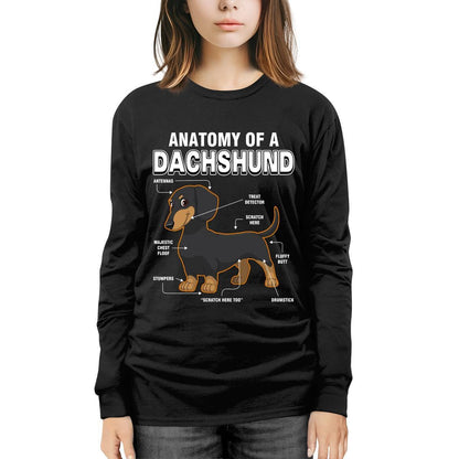 Dachshund Anatomy Explained