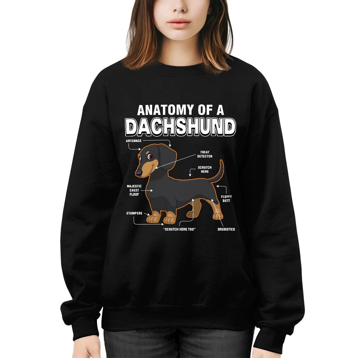 Dachshund Anatomy Explained