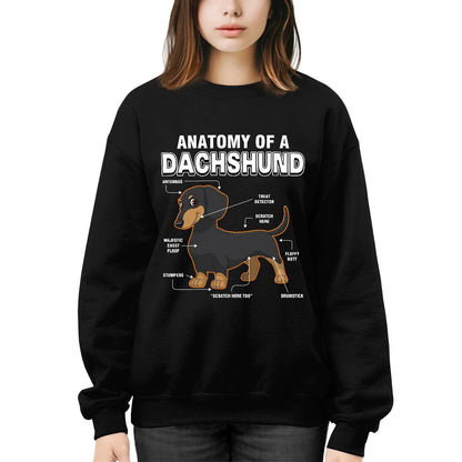 Dachshund Anatomy Explained