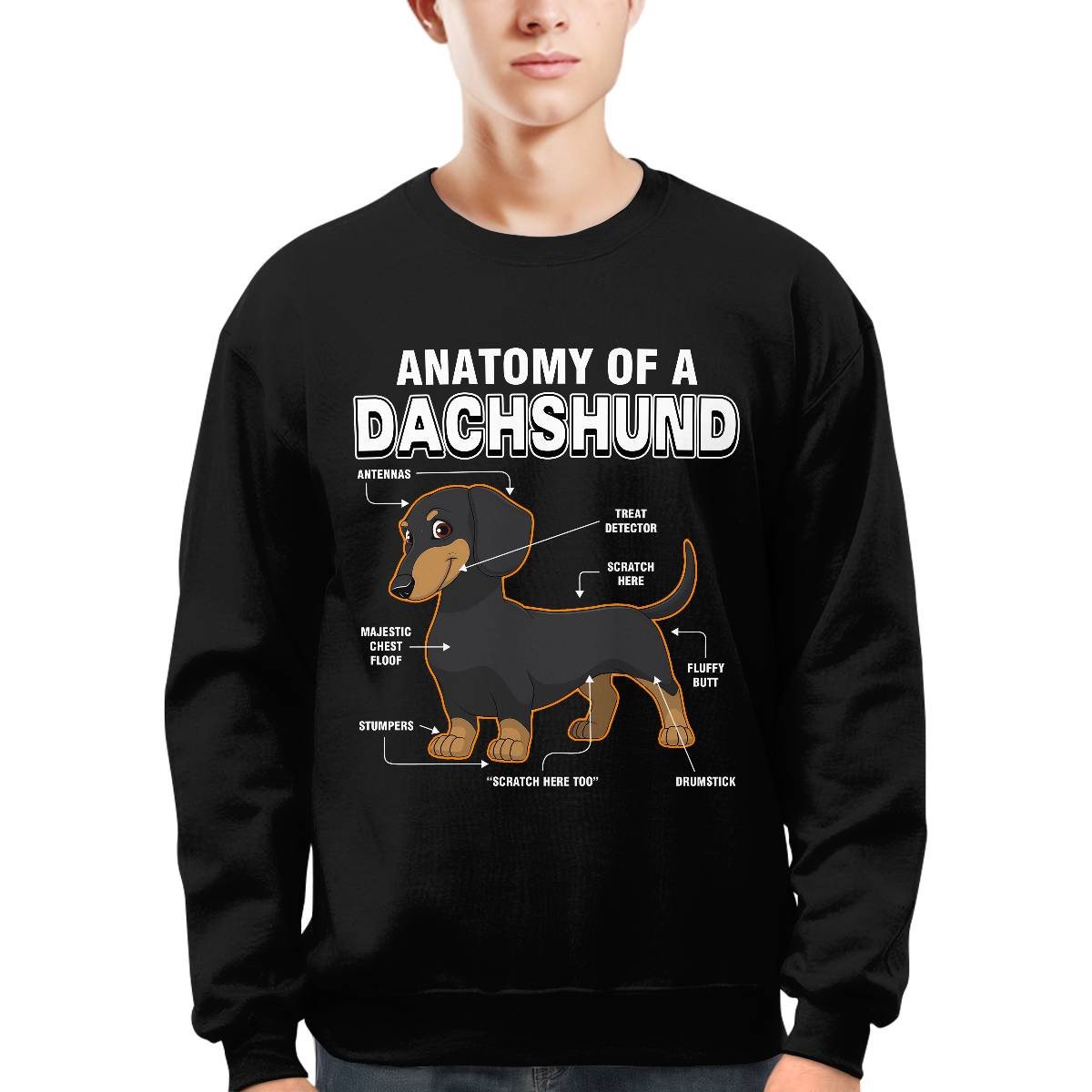 Dachshund Anatomy Explained