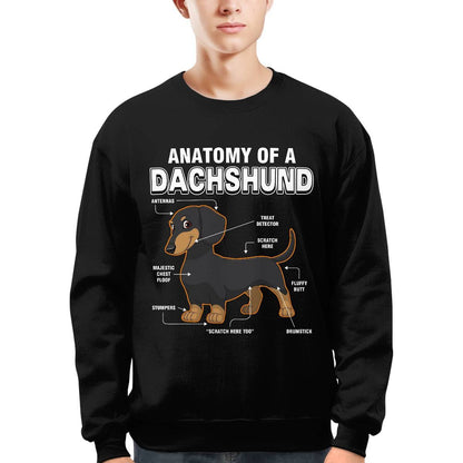 Dachshund Anatomy Explained