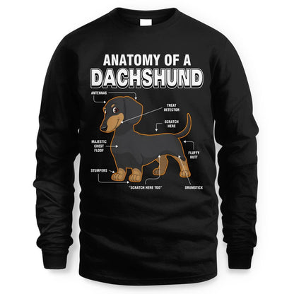 Dachshund Anatomy Explained