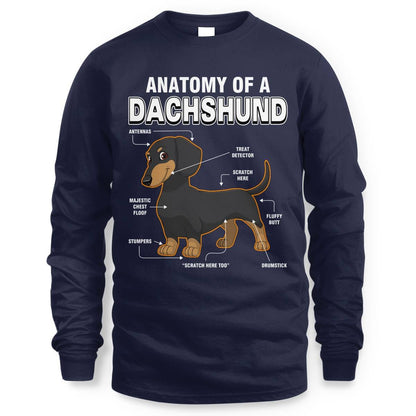 Dachshund Anatomy Explained