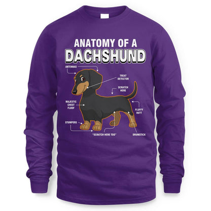Dachshund Anatomy Explained