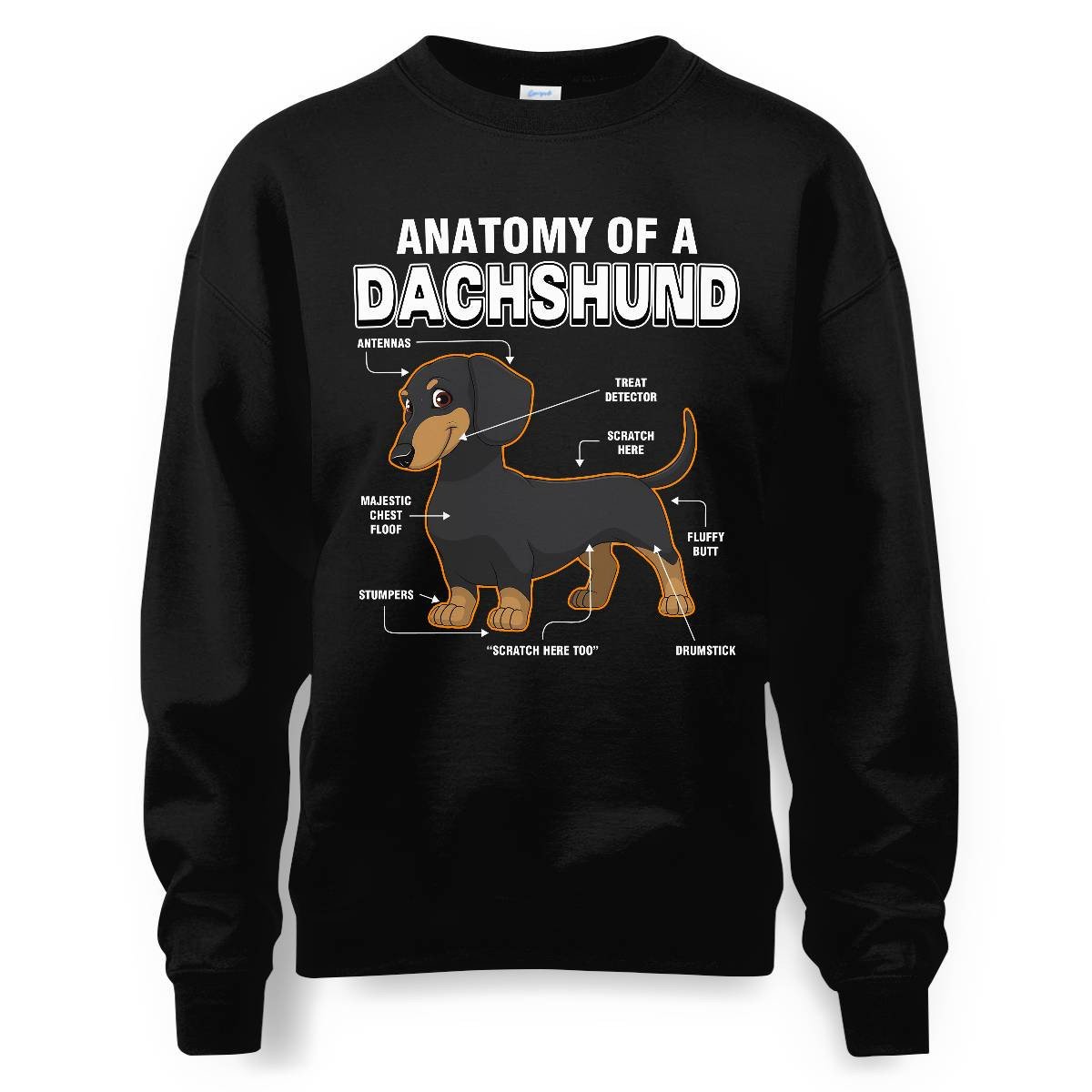 Dachshund Anatomy Explained