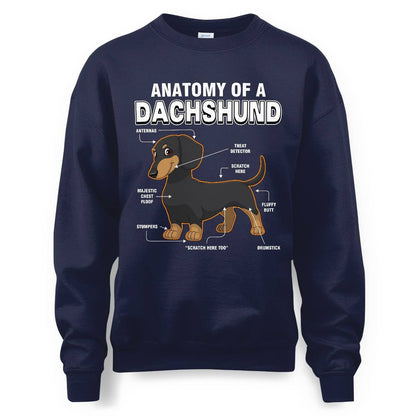 Dachshund Anatomy Explained