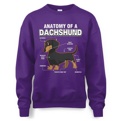 Dachshund Anatomy Explained