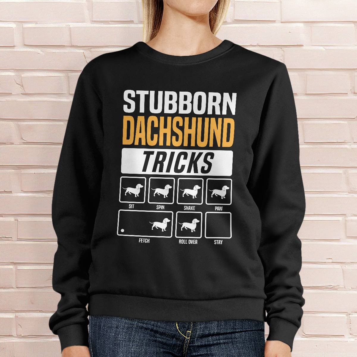 Dachshund Stubborn Tricks