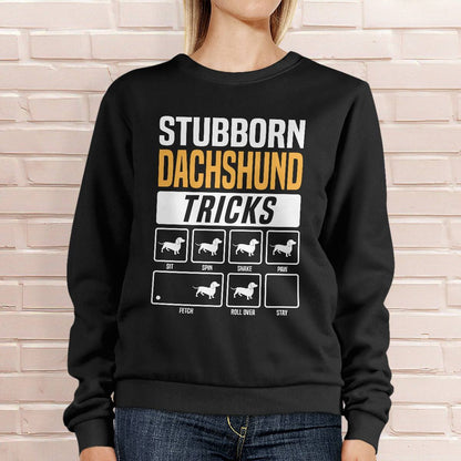 Dachshund Stubborn Tricks
