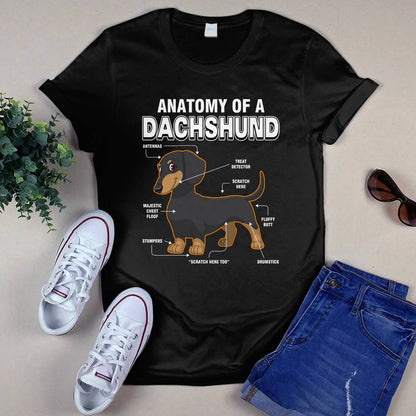 Dachshund Anatomy Explained
