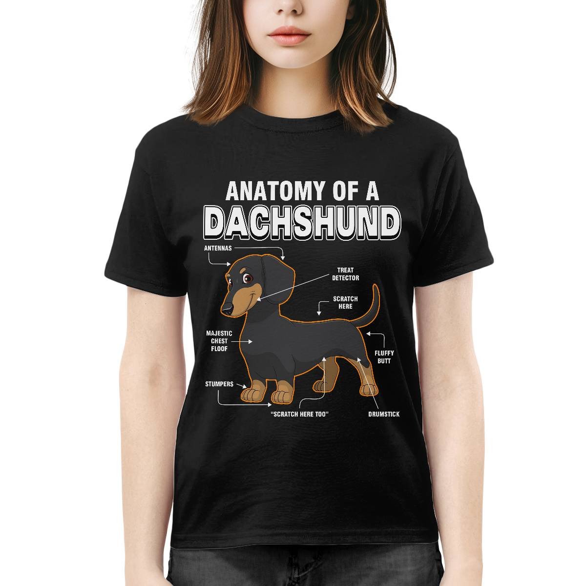 Dachshund Anatomy Explained