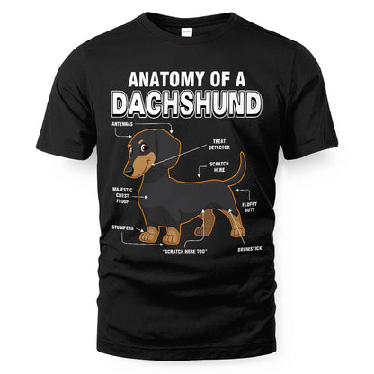 Dachshund Anatomy Explained