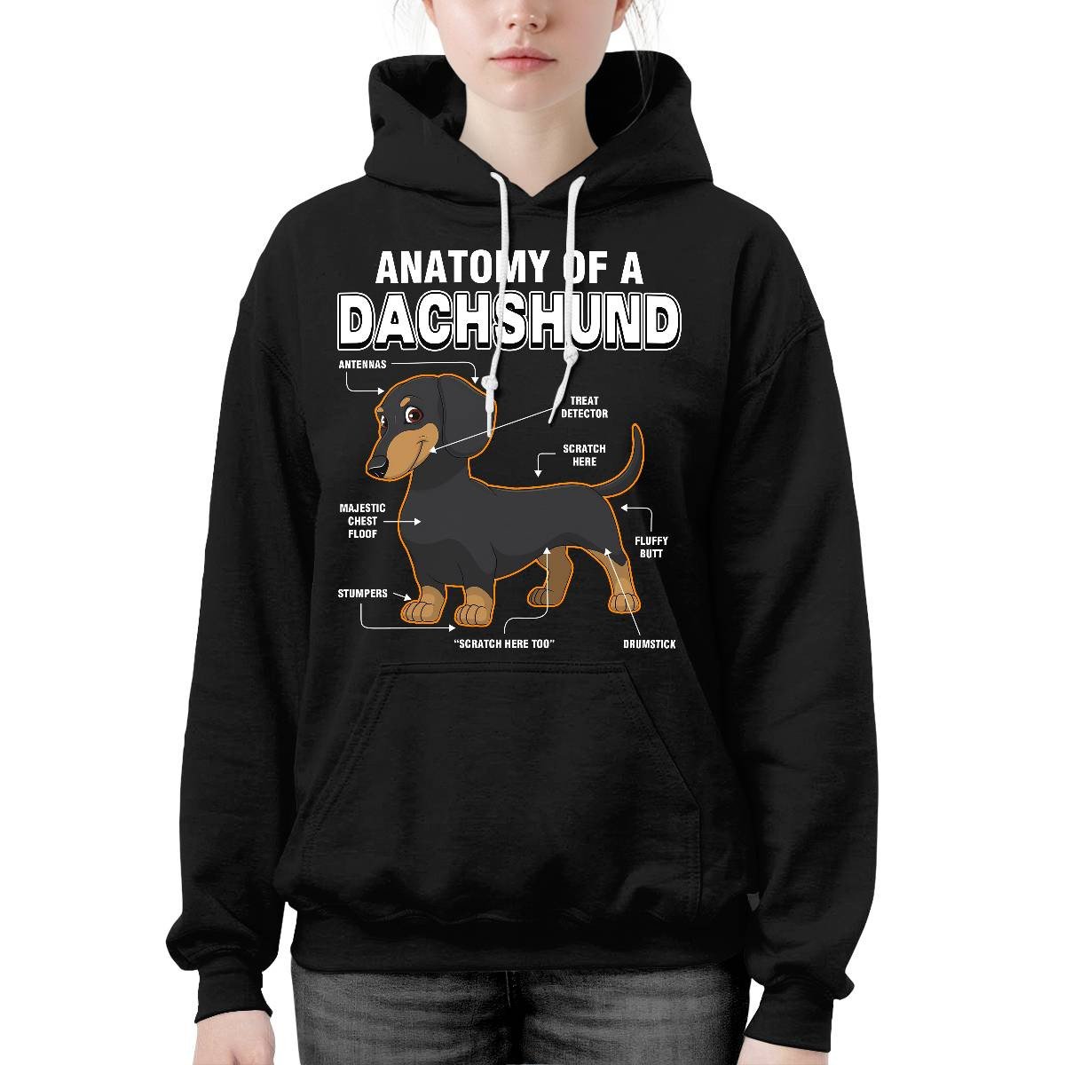 Dachshund Anatomy Explained