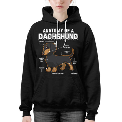 Dachshund Anatomy Explained