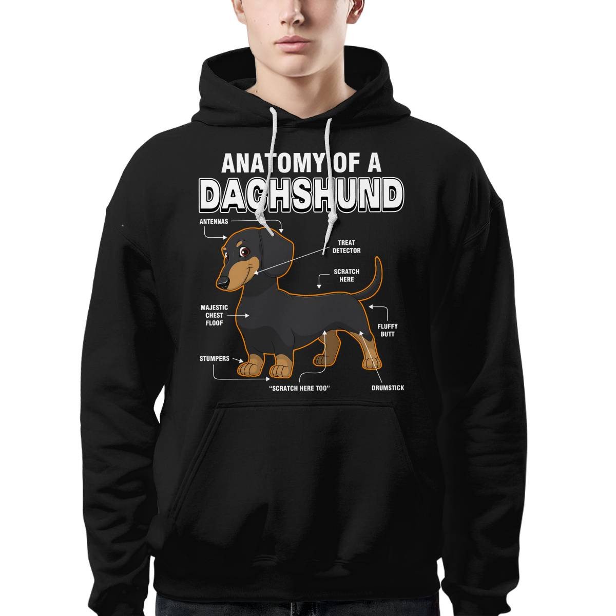 Dachshund Anatomy Explained