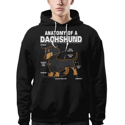 Dachshund Anatomy Explained