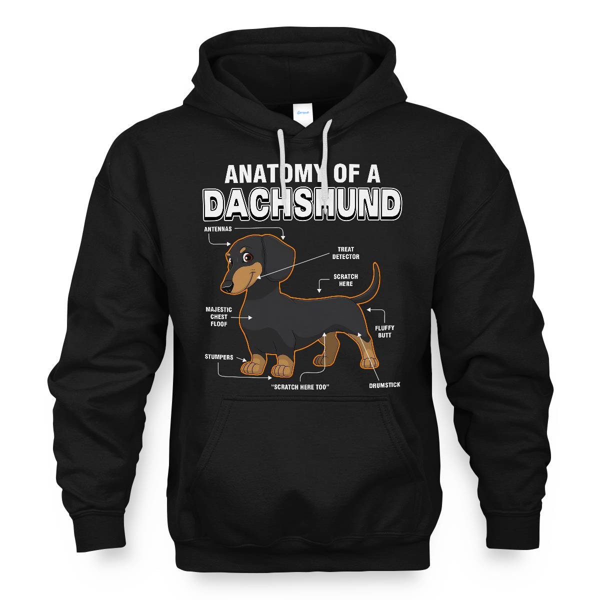 Dachshund Anatomy Explained