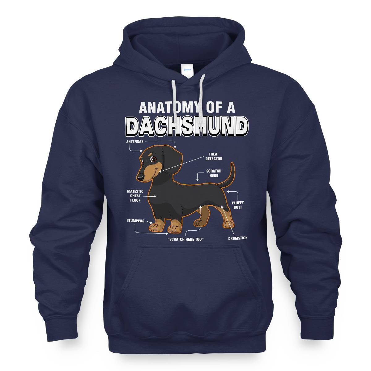 Dachshund Anatomy Explained