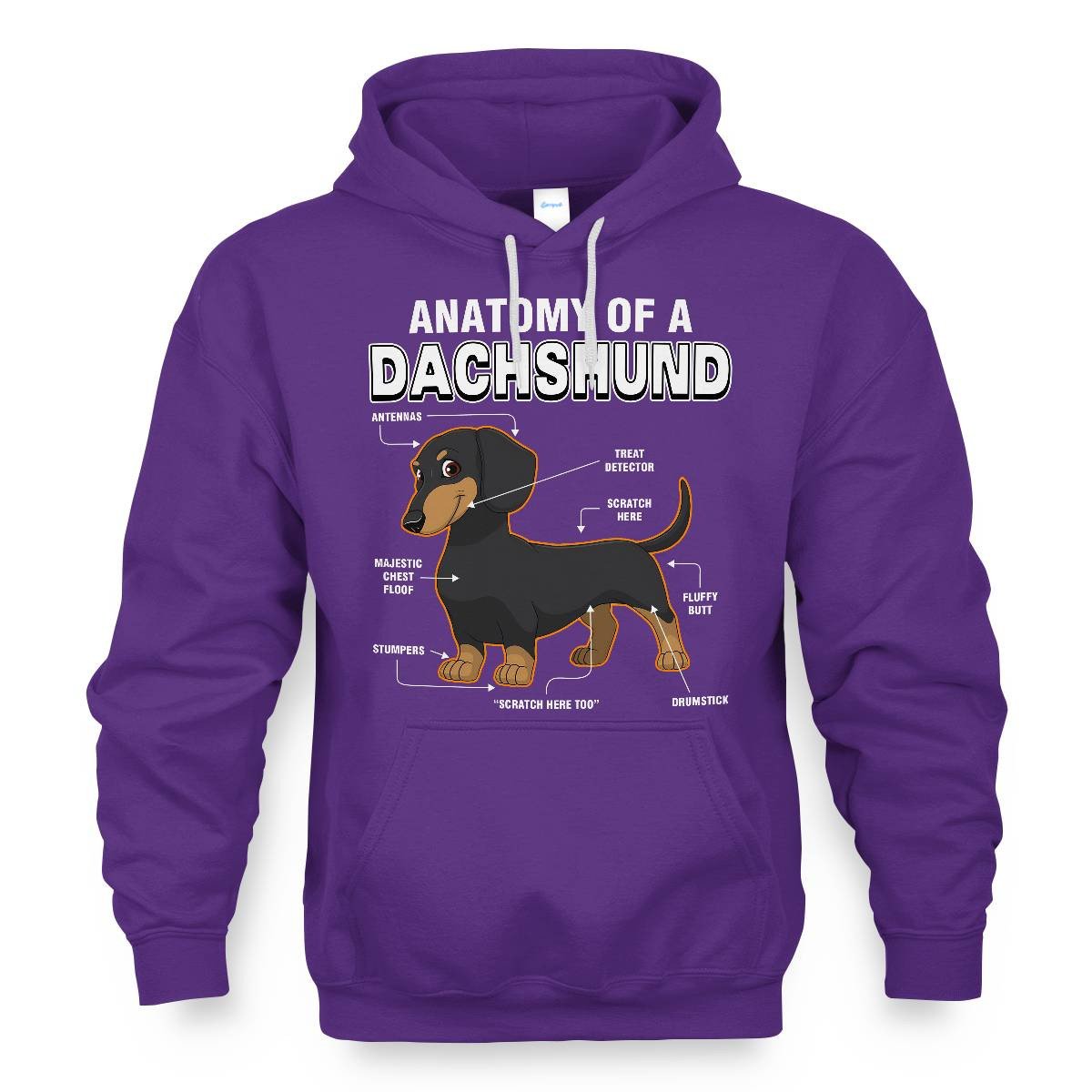 Dachshund Anatomy Explained